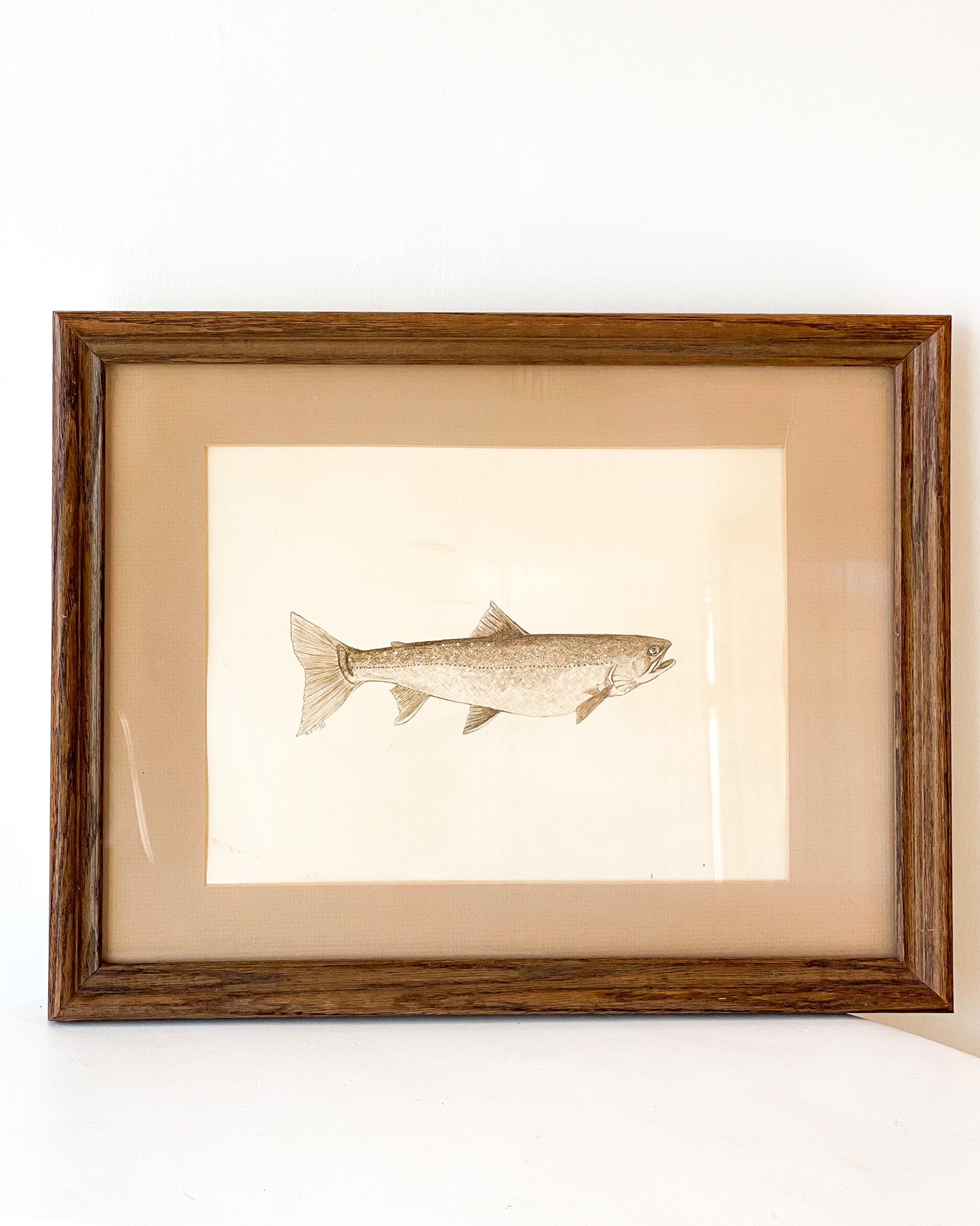 Framed Trout Artwork