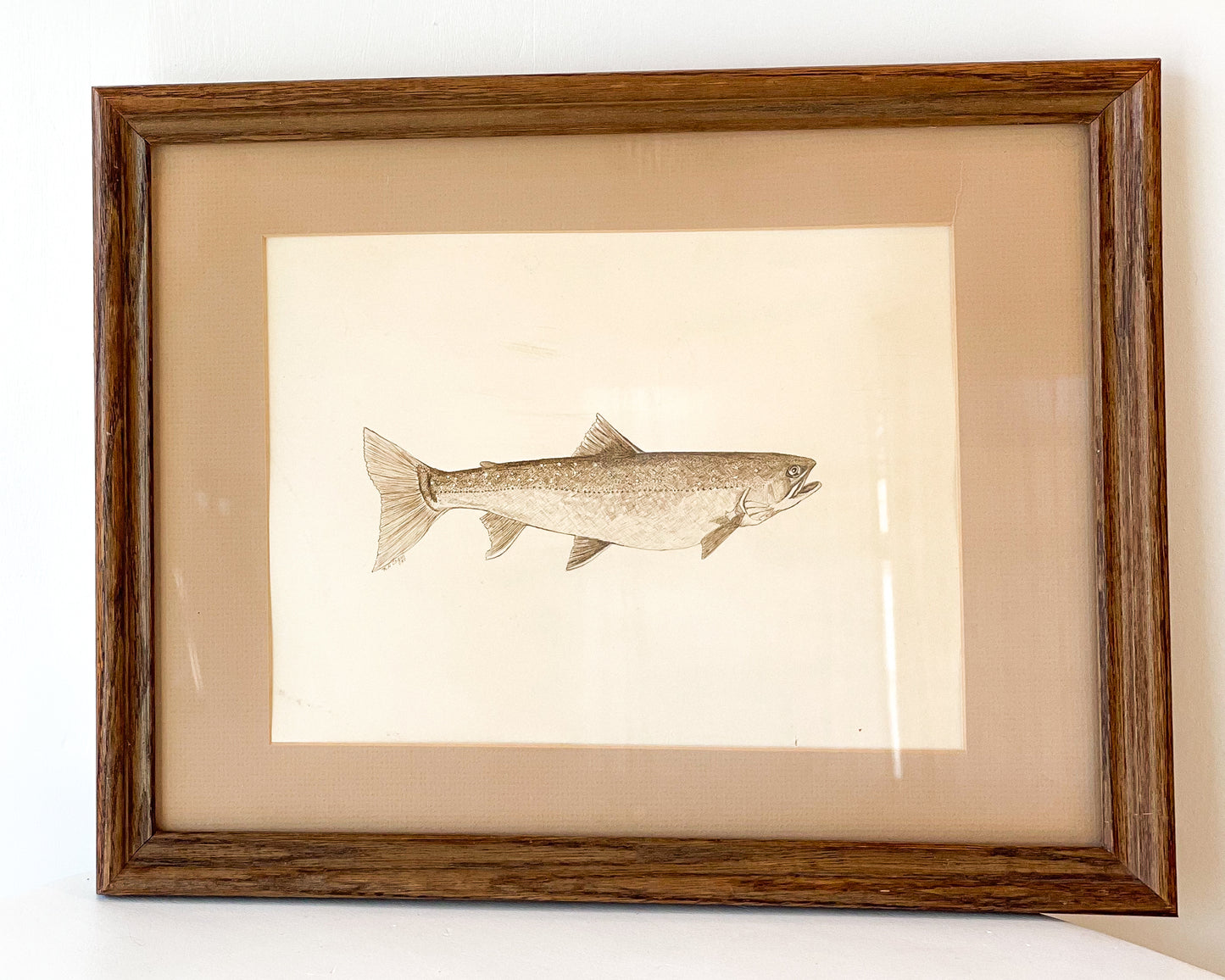 Framed Trout Artwork