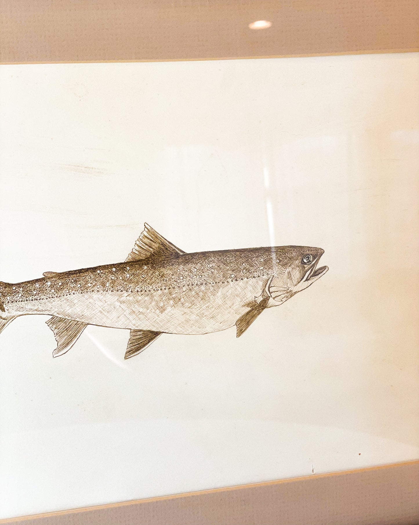 Framed Trout Artwork
