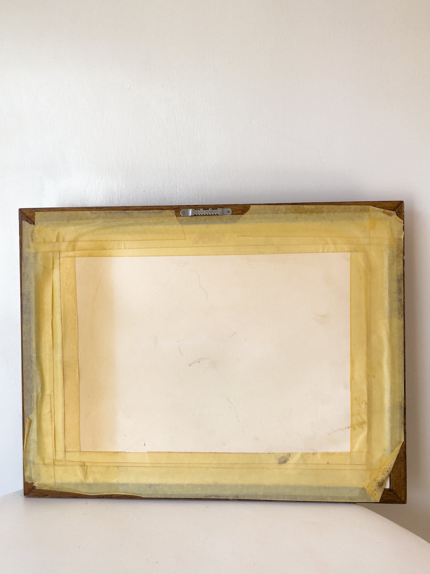 Framed Trout Artwork