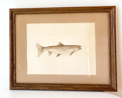 Framed Trout Artwork