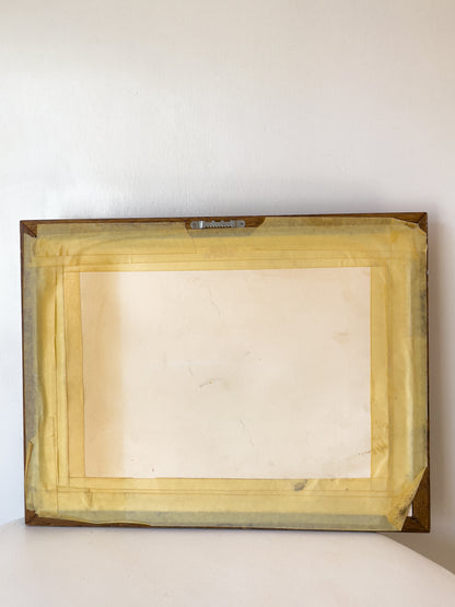Framed Trout Artwork